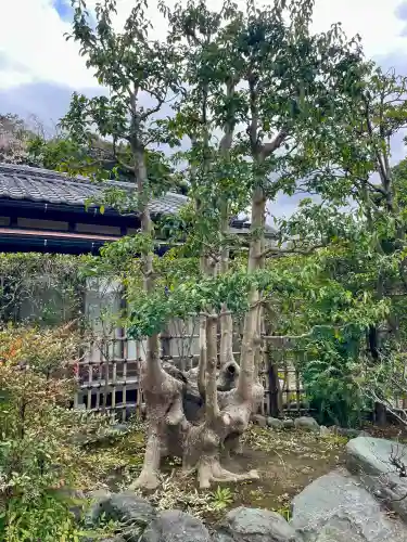 日蓮宗龍口山本龍寺の{uncategorized: "未分類", other: "その他", undefined: "問題あり", building: "その他建物", grave: "お墓", sacred_gate: "鳥居", guardian: "狛犬", statue: "像", buddha: "仏像", history: "歴史", nature: "自然", garden: "庭園", animal: "動物", pagoda: "塔", temizu: "手水舎", mountain_gate: "山門・神門", sanctuary: "本殿・本堂", subordinate: "末社・摂社", art: "芸術", scenery: "景色", jizo: "地蔵", ema: "絵馬", goshuin: "御朱印", omikuji: "おみくじ", items: "授与品その他", amulet: "お守り", goshuincho: "御朱印帳", eats: "食事", festival: "お祭り", votive_dance: "神楽", shichigosan: "七五三参", wedding: "結婚式", experience: "体験その他", initially: "初詣", around: "周辺", anti_infection: "感染症対策"}