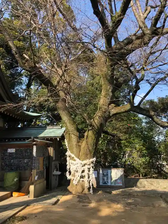 王子神社の自然
