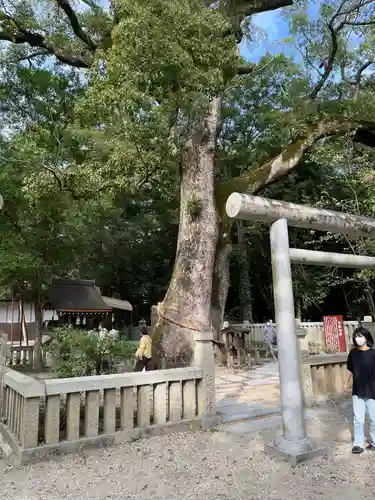 伊弉諾神宮(兵庫県)