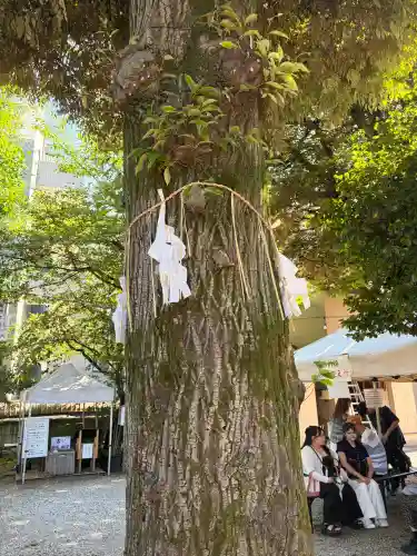 蛇窪神社(東京都)