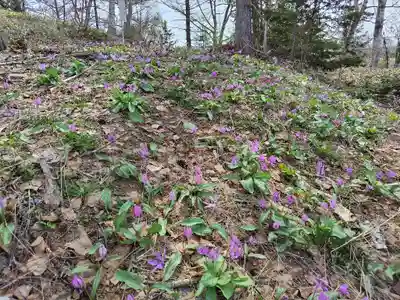 稲荷神社(北海道)