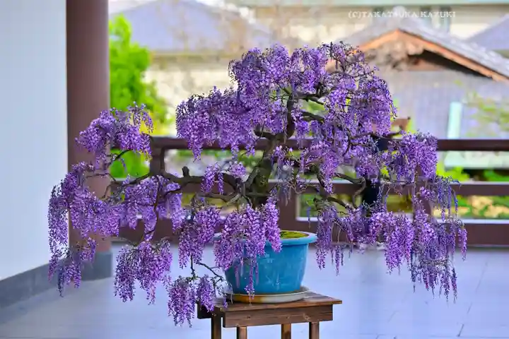 西新井大師総持寺(東京都)