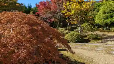 実光院(京都府)