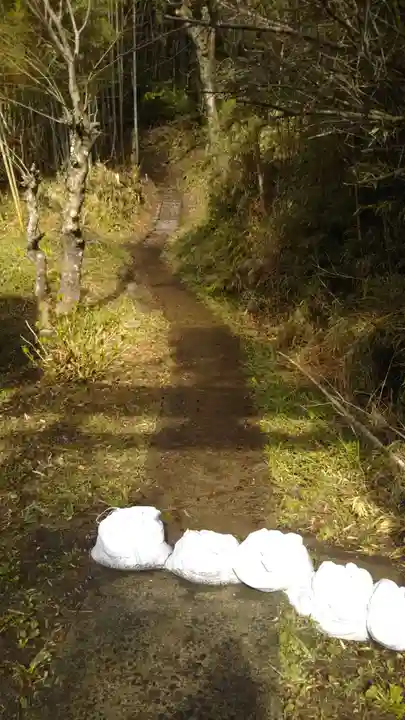愛宕神社の自然
