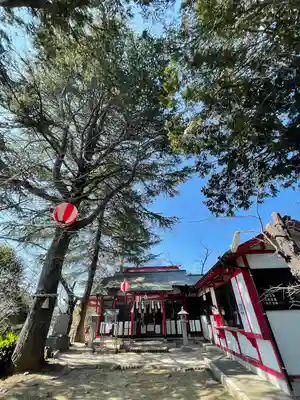 若光稲荷神社(曩祖八幡宮境内社)の本殿・本堂