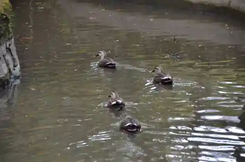唐招提寺(奈良県)