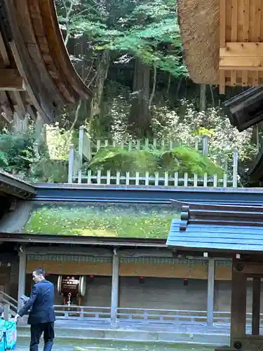 諏訪大社(長野県)