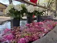 美奈宜神社(福岡県)