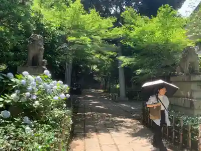 四合稲荷神社(東京都)
