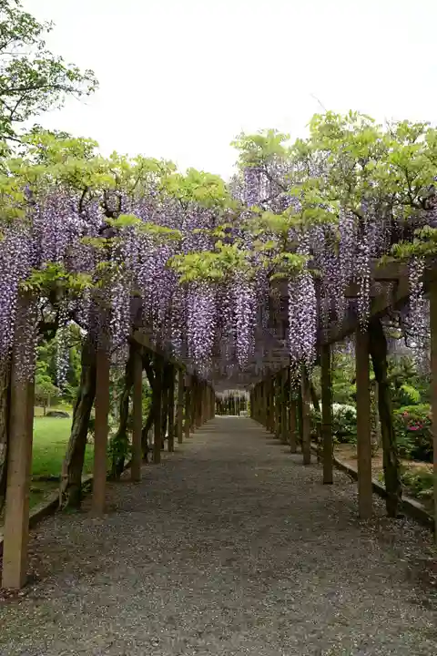 大山祇神社(愛媛県)
