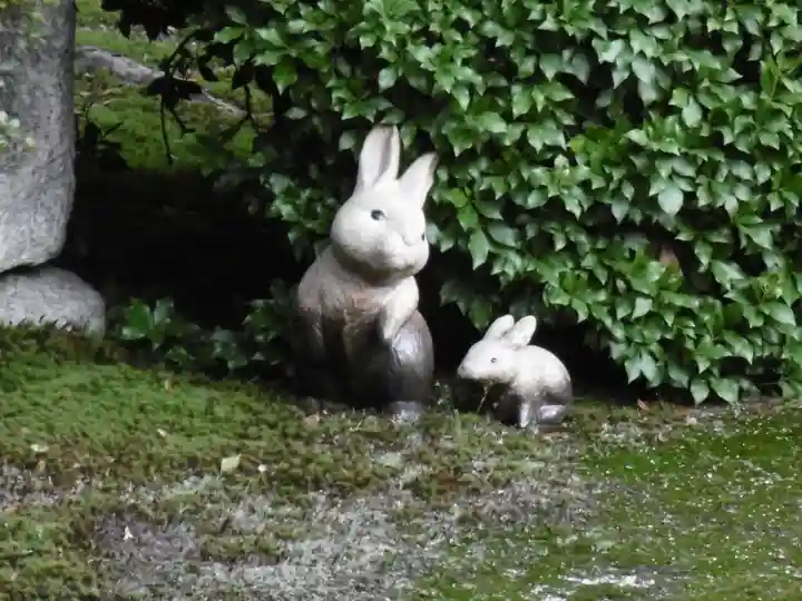 聖護院門跡の狛犬