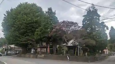 祐照庵　大戸観音堂(東京都)