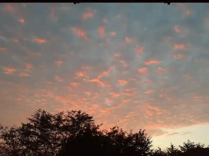 伏木香取神社の自然