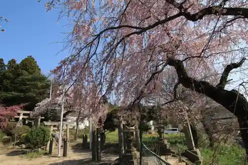 見渡神社の景色