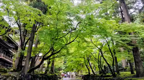 永平寺(福井県)