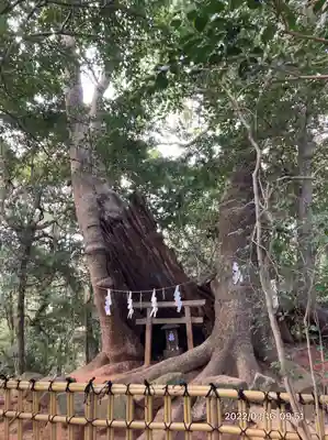 住吉神社(山口県)