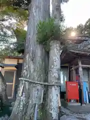 鳴谷神社(三重県)