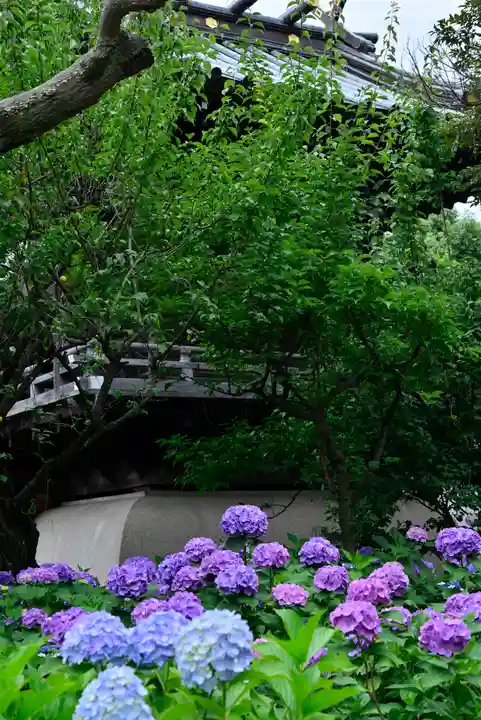 白山神社(東京都)