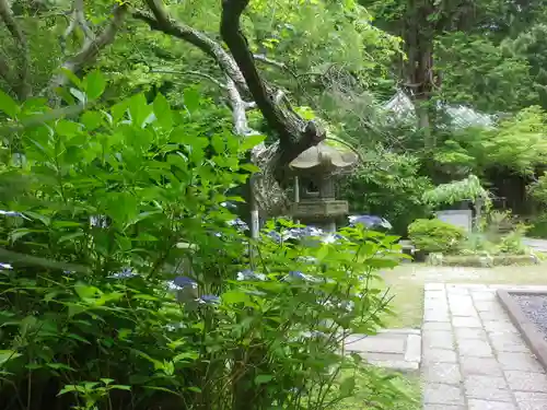 安國論寺（安国論寺）の庭園