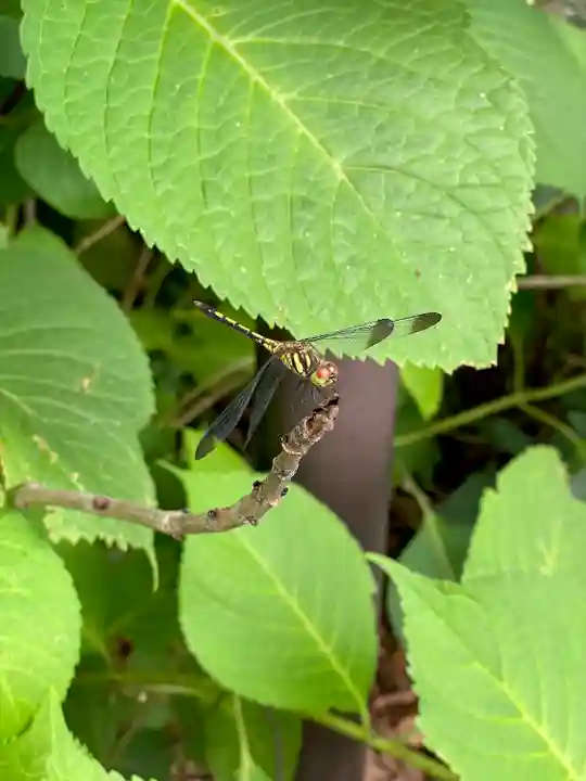 妻沼聖天山歓喜院(埼玉県)