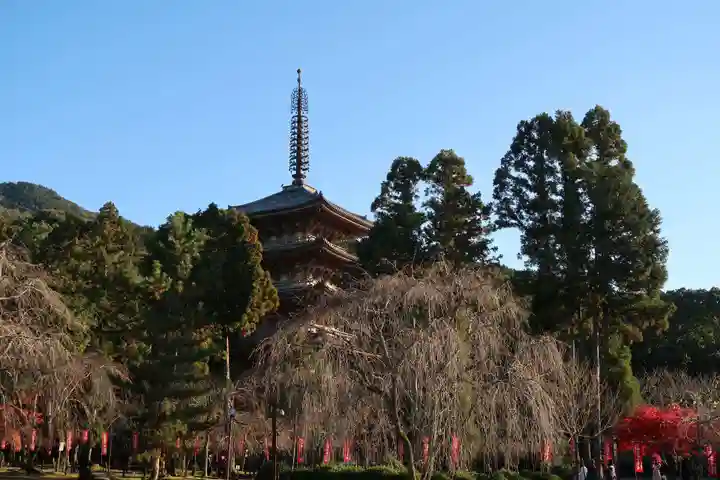 醍醐寺(京都府)