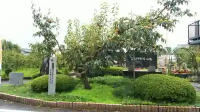 天神神社（伊久良河宮 天神宮）の庭園