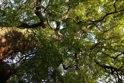 芳川神社(埼玉県)