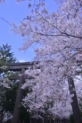冨士御室浅間神社(山梨県)