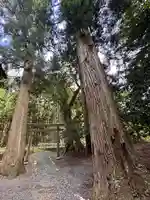 六社神社(福井県)