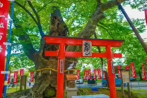 秩父今宮神社の鳥居