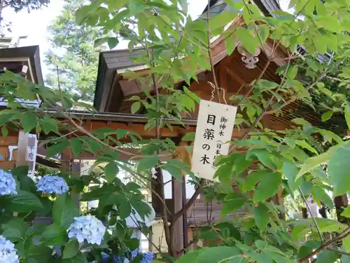 川越八幡宮(埼玉県)