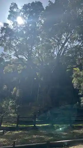 武雄神社(佐賀県)