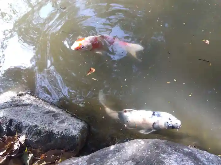 敏太神社(三重県)