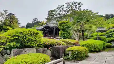 能仁寺(埼玉県)