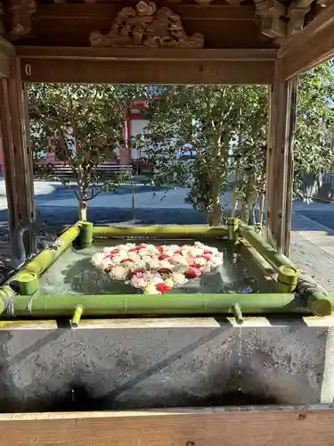 布施弁天 東海寺(千葉県)