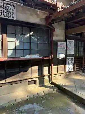 雀神社(茨城県)