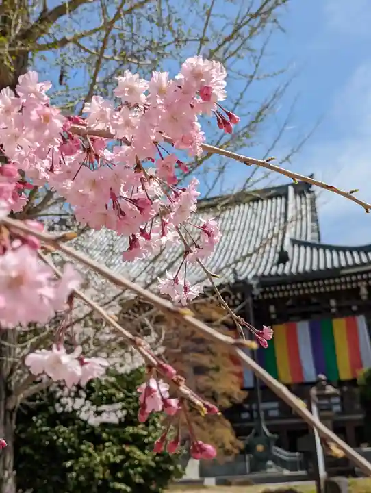 智積院(京都府)