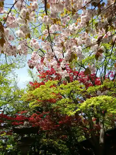 彌彦神社　(伊夜日子神社)の自然