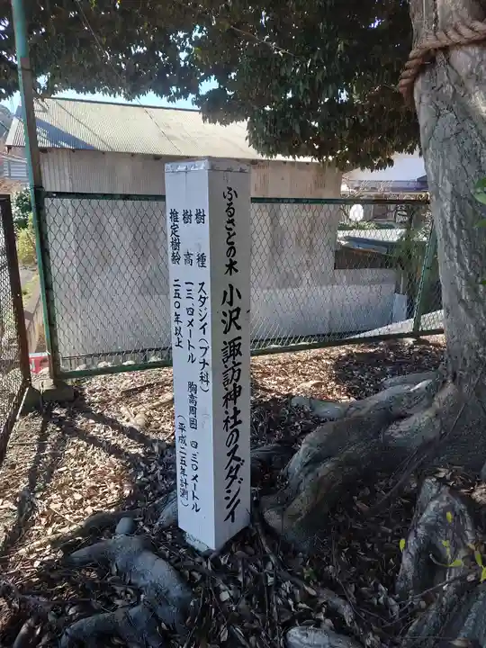 諏訪神社(神奈川県)