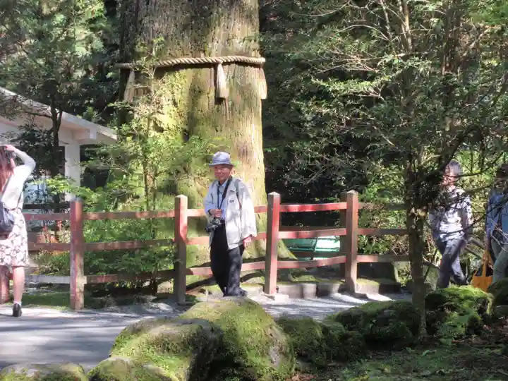 箱根神社のその他建物