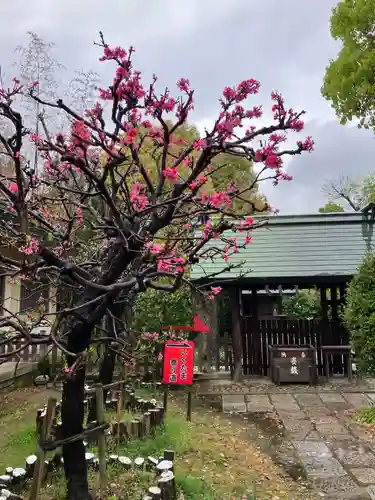 難波大社　生國魂神社(大阪府)