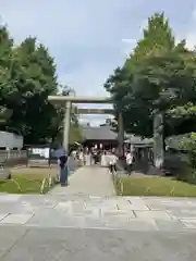 浅草神社の鳥居