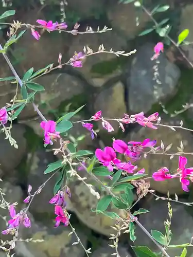 国宝 大法寺の自然