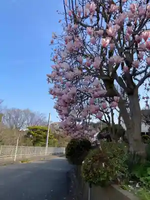 慶珊寺(神奈川県)