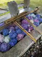 足羽神社(福井県)