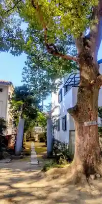 氷川神社(東京都)
