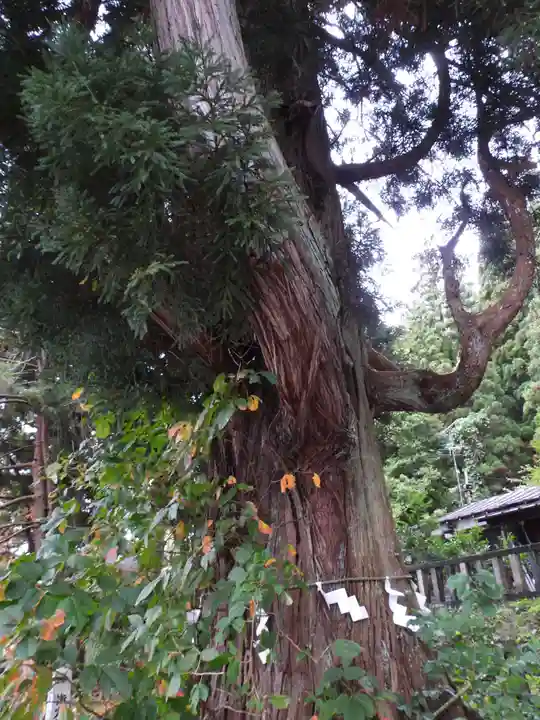 御座石神社(秋田県)