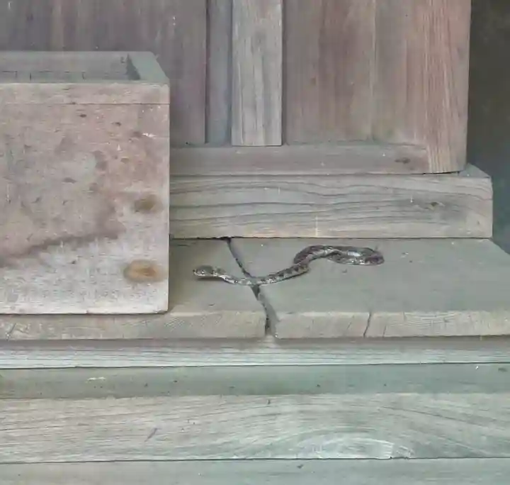 無量光寺(神奈川県)