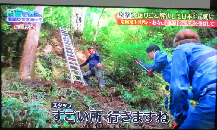観音院(埼玉県)