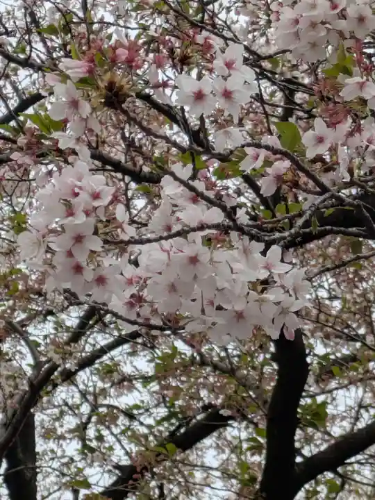 亀戸天神社(東京都)